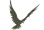 Gifs Animés oiseaux 454
