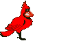 Gifs Animés oiseaux 61