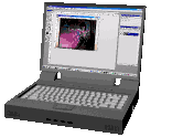 EMOTICON ordinateur portable 17