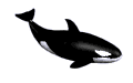 Gifs Animés orques 1