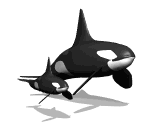 Gifs Animés orques 5