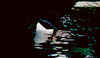 Gifs Animés orques 6