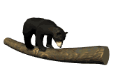 Gifs Animés ours-brun 4