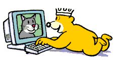 Gifs Animés ours 100