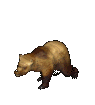 Gifs Animés ours 306