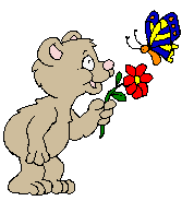 Gifs Animés ours 338