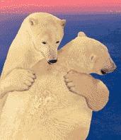 Gifs Animés ours 497