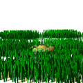 Gifs Animés outils de jardin 23