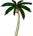 Gifs Animés palmier 18