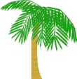 Gifs Animés palmier 29