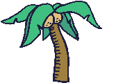 Gifs Animés palmier 31