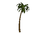 Gifs Animés palmier 34