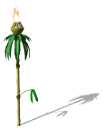 Gifs Animés palmier 36