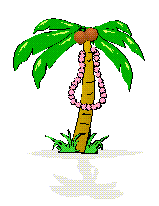 Gifs Animés palmier 40