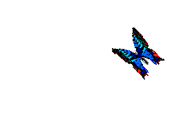 EMOTICON papillons 106