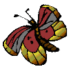 Gifs Animés papillons 187