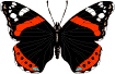 Gifs Animés papillons 24