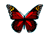 EMOTICON papillons 243