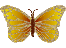 Gifs Animés papillons 251