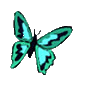 Gifs Animés papillons 281