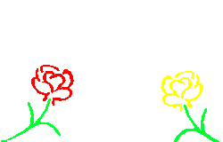 Gifs Animés papillons 292
