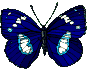Gifs Animés papillons 296