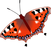 Gifs Animés papillons 338