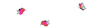 Gifs Animés papillons 373