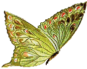 EMOTICON papillons 383