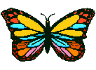 Gifs Animés papillons 81