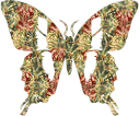Gifs Animés papillons 86