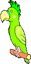 Gifs Animés perroquets 7