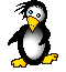 Gifs Animés pinguins 116