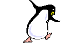 Gifs Animés pinguins 121