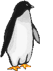 Gifs Animés pinguins 124
