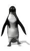 Gifs Animés pinguins 138