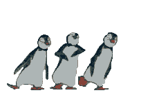 Gifs Animés pinguins 140