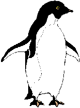 Gifs Animés pinguins 145