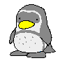 Gifs Animés pinguins 156
