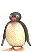 Gifs Animés pinguins 161