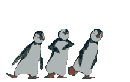 Gifs Animés pinguins 55