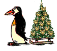 Gifs Animés pinguins 67