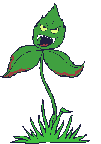 Gifs Animés plante carnivore 9