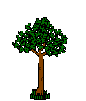 Gifs Animés plantes 24