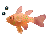 Gifs Animés poissons 124