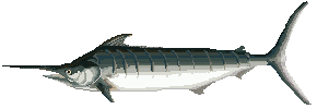 EMOTICON poissons 173