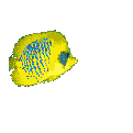 Gifs Animés poissons 198
