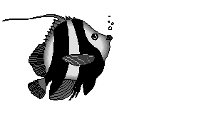 Gifs Animés poissons 222