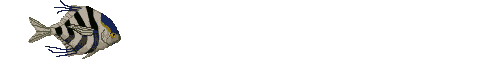 EMOTICON poissons 236