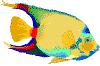 Gifs Animés poissons 242